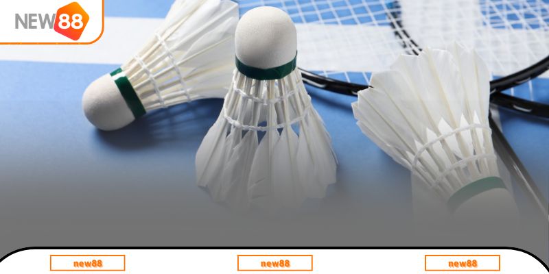 Khái quát chung về môn cầu lông